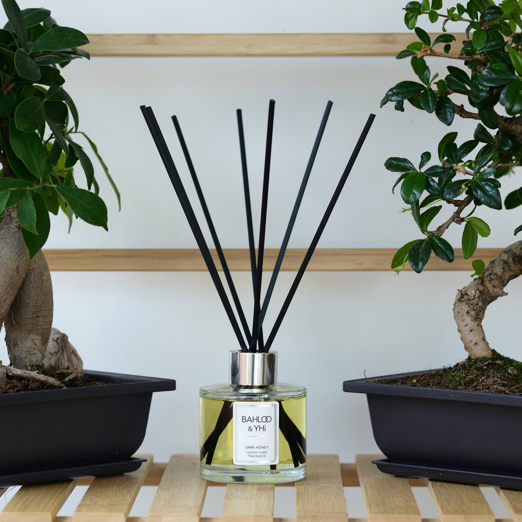 black reed diffuser between two bonsai trees