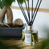 SERENDIPITY | LUXURY REED DIFFUSER