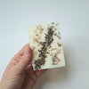 WAX MELT BARS | LIMITED EDITION
