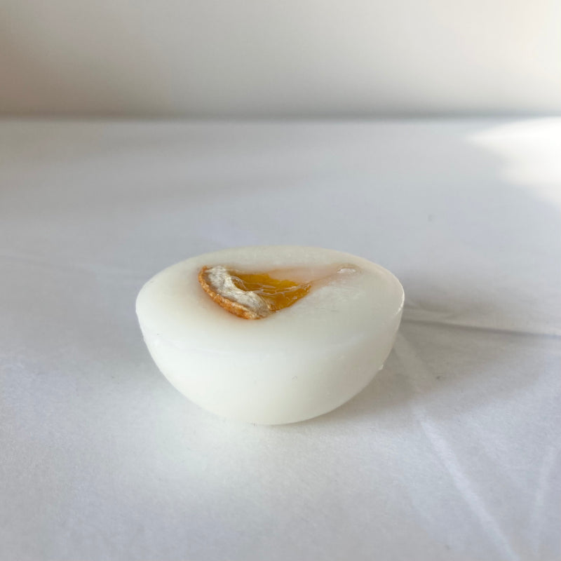 WANDERLUST | Wax Melts