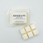 HOCUS POCUS Limited edition wax melt